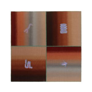 cc tapis | cryptid square patricia urquiola (copia)